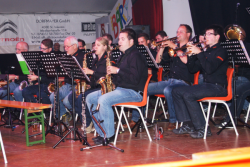 Party Pur mit den Erla Swingers beim Bezirksmusikfest in Ernsthofen
